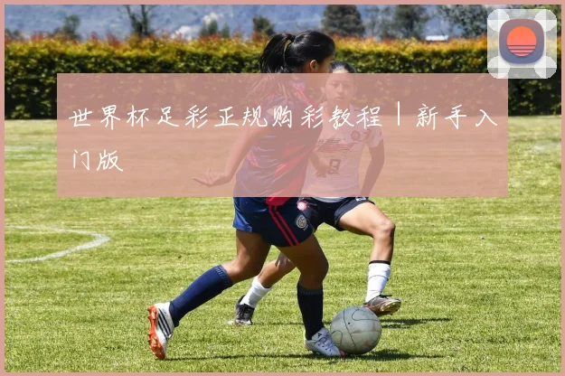 世界杯足彩正规购彩教程｜新手入门版 - 开云体育