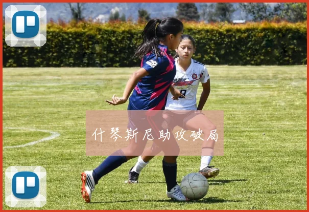 什琴斯尼助攻破局 - 开云体育